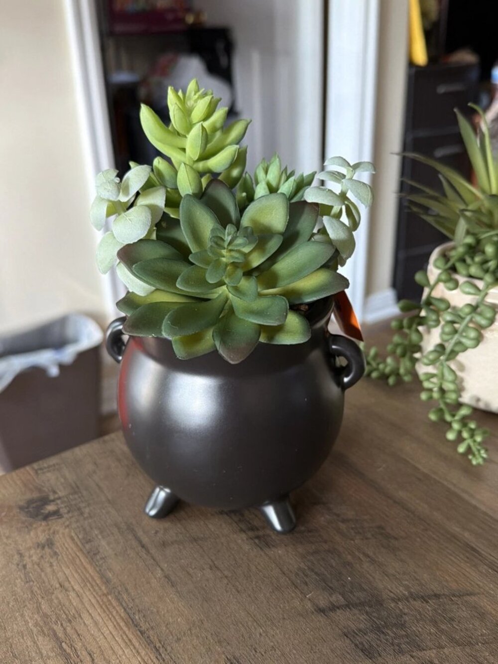 Spooky Hollow Ceramic Black Cauldron Planter With Faux Succulents